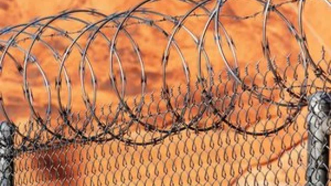 Mises Daily July 31 2015